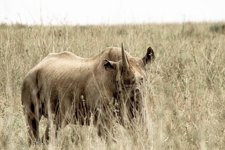 2 Days Tarangire and Ngorongoro Safari Tour in Tanzania