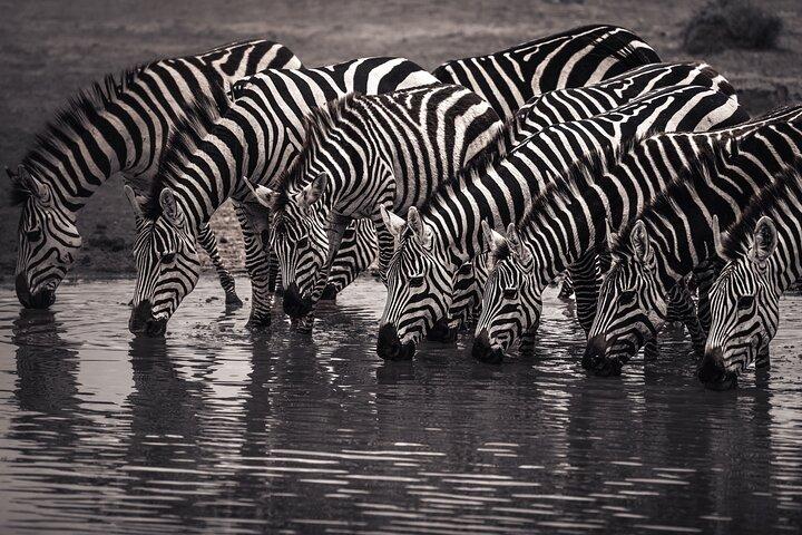 2 Days Tarangire and Ngorongoro Safari Tour in Tanzania