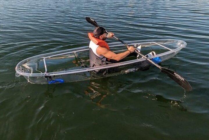 Dolphin and Manatee Clear Kayak or Paddleboard Tour