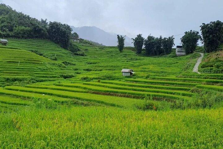 Mai Chau – Pu Luong 2D1N
