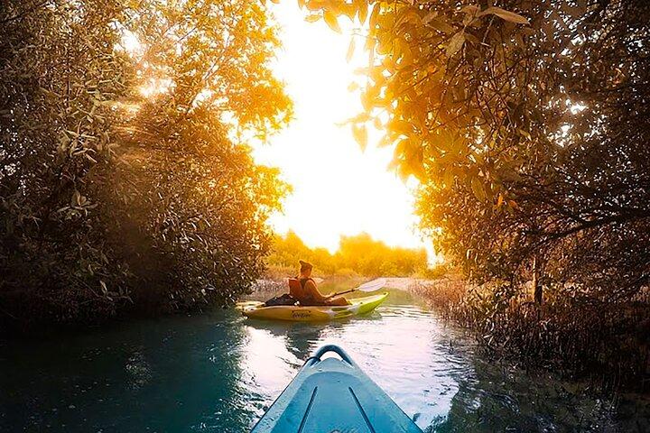 Mangrove Kayaking Abu Dhabi