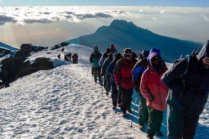 9 Day Tour in Lemosho Route Via Northern Circuit