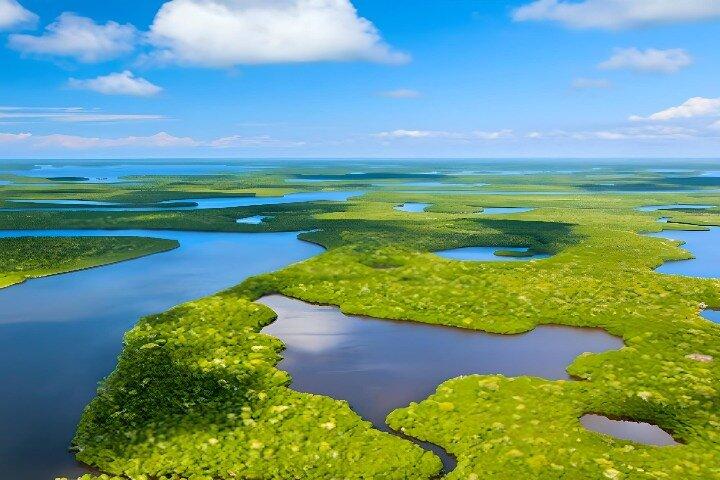 Everglades Immersion Tour: The Ultimate Everglades Adventure