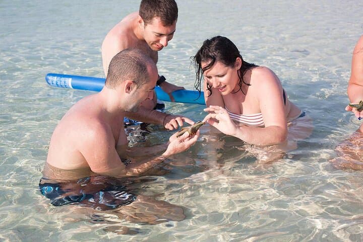 Private Guided Tour Prison Island -Nakupenda Beach and Stone Town