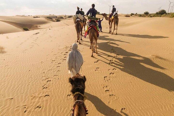 Camel safari in thar desert