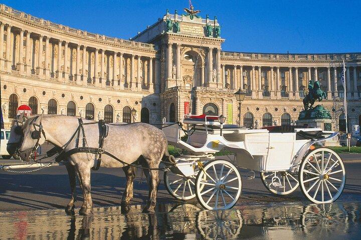 Exciting history tour and discovery of Vienna's secrets