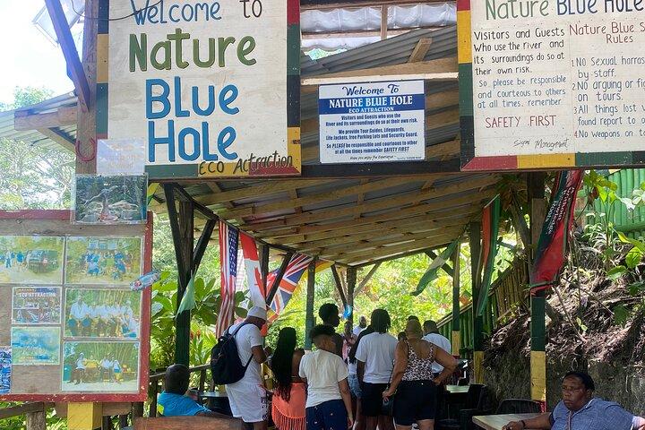 Horseback Riding, Blue Hole & Dunns River Falls from Montego Bay
