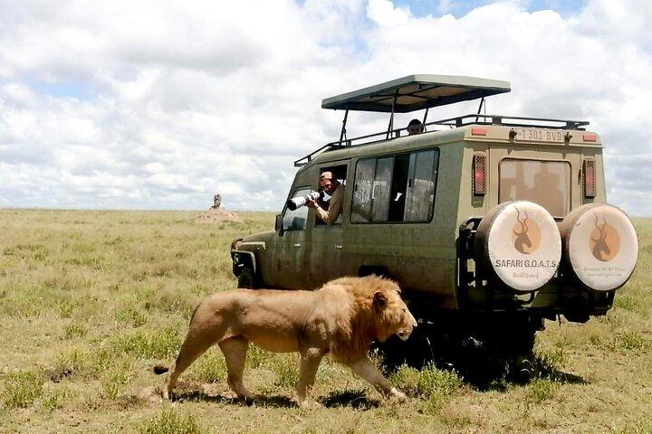 4 Days Tarangire, Serengeti & Ngorongoro Crater Joining Group
