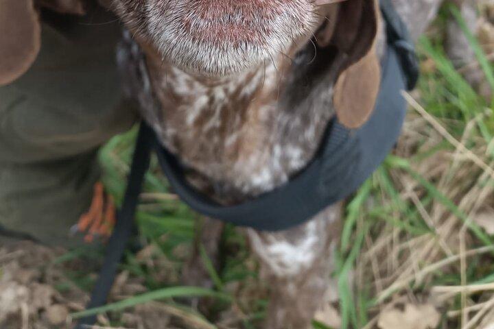 Truffle Hunting in Tuscany
