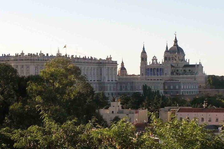 Private VIP tour Royal Palace and city tour. All of Madrid in one day