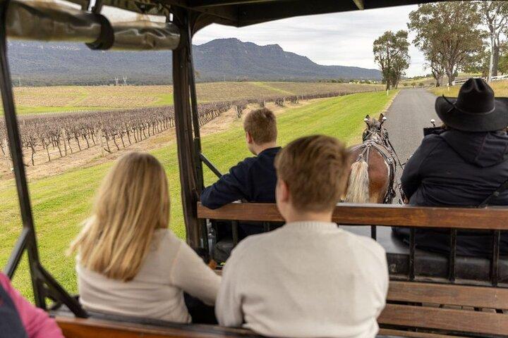 3- Hour Wine and Harvest the Hunter Horse Tour in Pokolbin