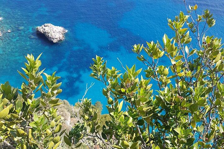 Capri Private Full Day Tour from Rome with Monte Solaro.