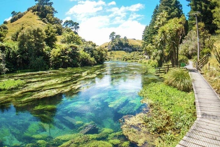 Hobbiton Movie Set Tour to Blue Springs and Mineral Spa