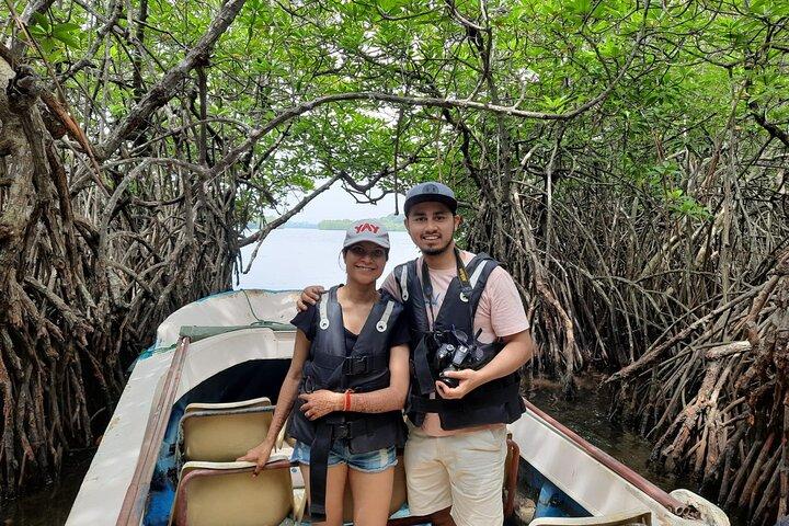 8 Days Private Guided Tour in Sri Lanka with accommodation (BB)