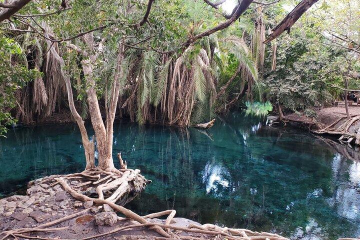 1-Day Safari to Materuni Waterfalls and Chemka Hot spring