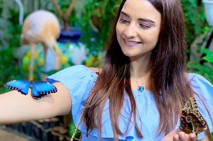 Dubai Butterfly Garden Tickets