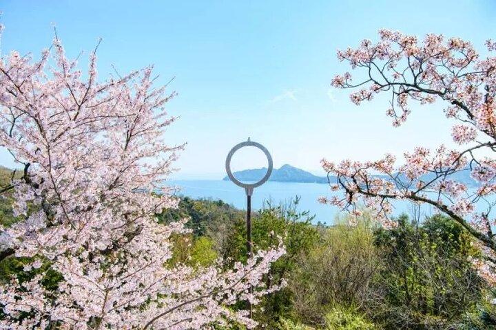 Amanohashidate & Ine Bay Day Tour with Cruise and Miyama Village