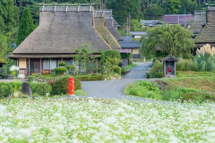 Amanohashidate & Ine Bay Day Tour with Cruise and Miyama Village