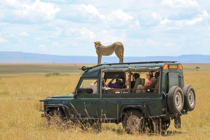 7-Day Private Tour in Uganda and Kenya Safari