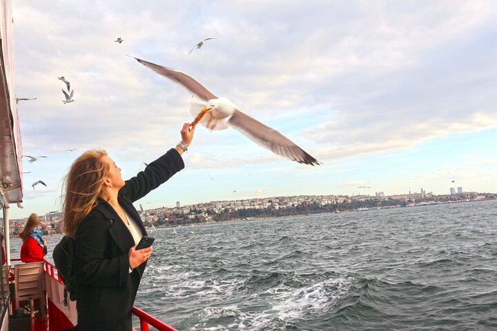 2 Hours Afternoon Bosphorus Cruise