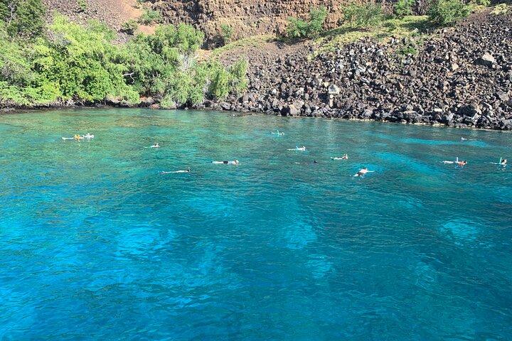 Captain Cook Reef Snorkeling of Kealakekua Bay