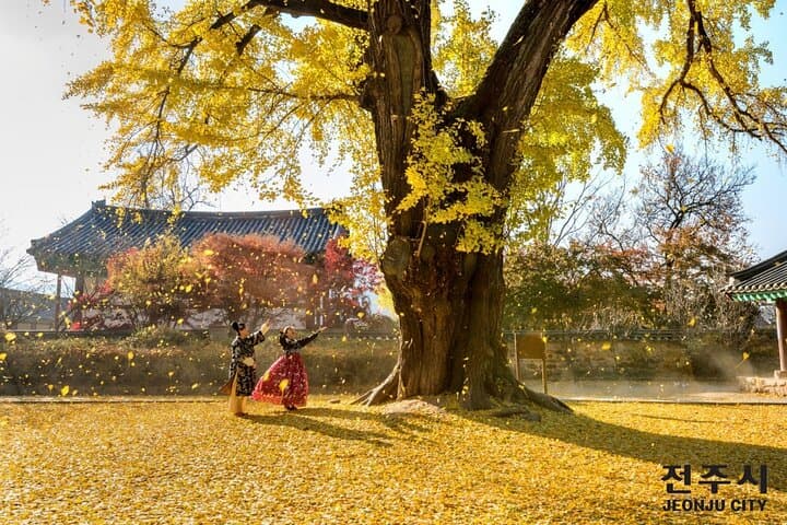 Jeonju Hanok Village Tour