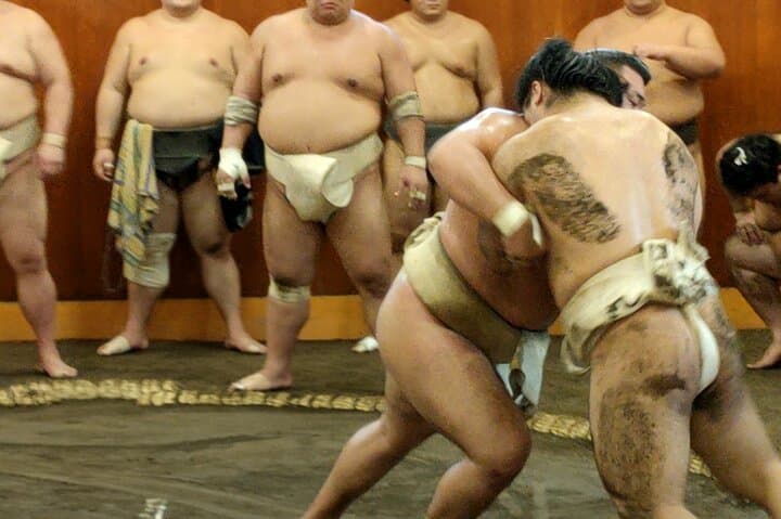 Sumo Training Watching Experience in Tokyo