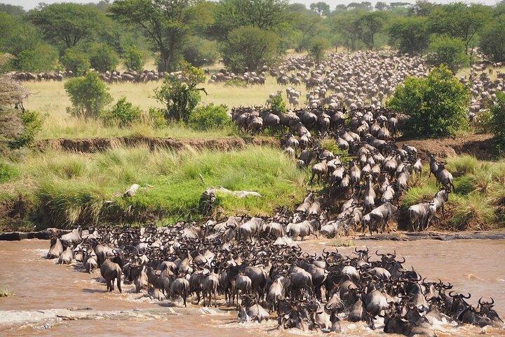 4-Day Safari Adventure in Tanzania