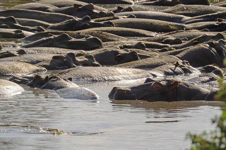 3-Day Northern circuit Safari