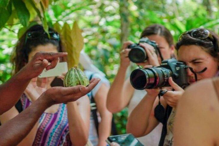 Zanzibar Spice Farm Tour & Exotic Fruit Lunch