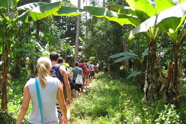 Zanzibar Spice Farm Tour & Exotic Fruit Lunch
