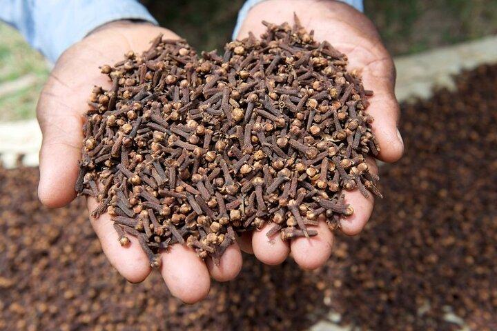 Zanzibar Spice Farm Tour & Exotic Fruit Lunch