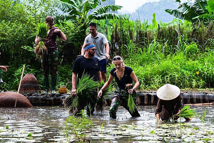 Ninh Binh eco group tour - Buffalo riding, rice planting, fishing