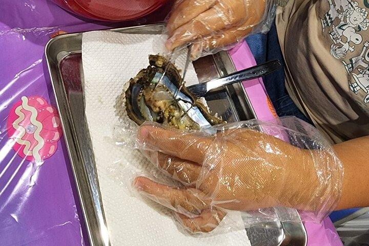Experience Extracting Pearls From Akoya Oysters　osaka