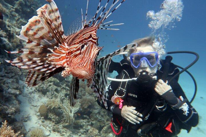 Scuba Diving Experience & MUSAN Dive + Free Edited Video 2xdives
