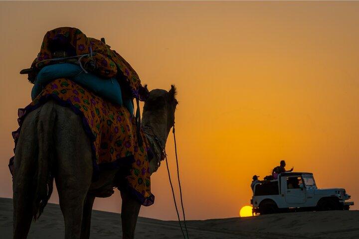 Dazzling Half Day Tour of Camel & Desert Safari with Sunset