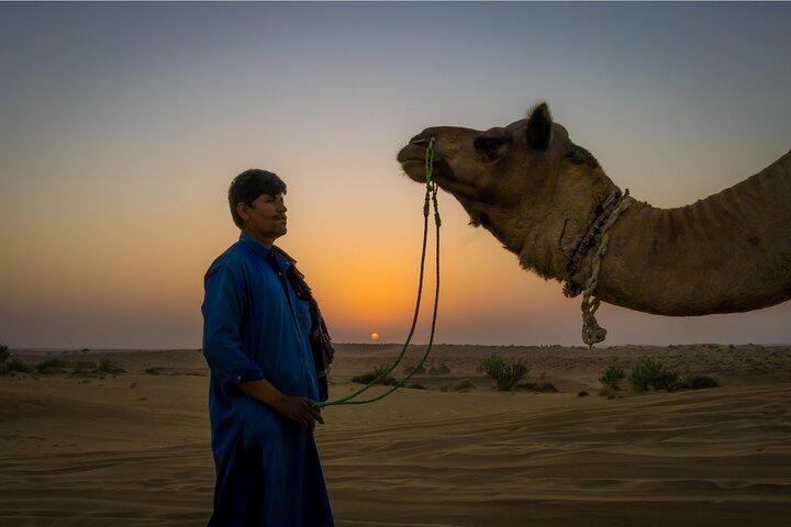 Dazzling Half Day Tour of Camel & Desert Safari with Sunset