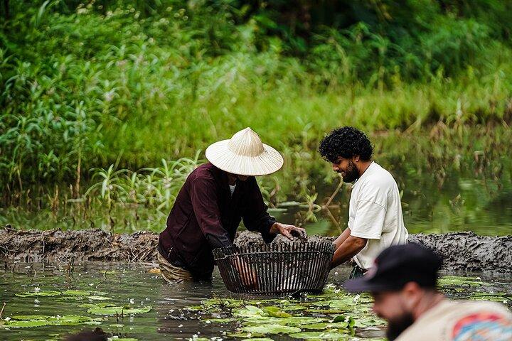Rice Planting and Fishing by Basket Activity at Buffalo Cave