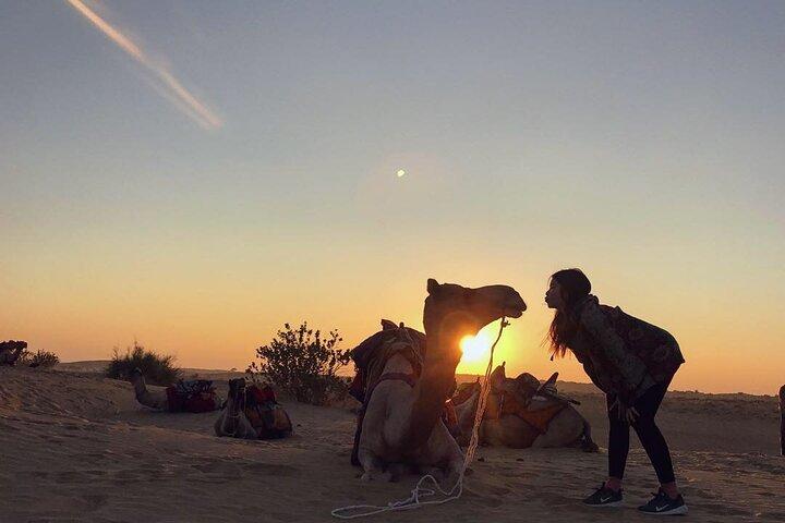 Jaislamer Sightseeing with Sunset Camel & Desert Safari Tour