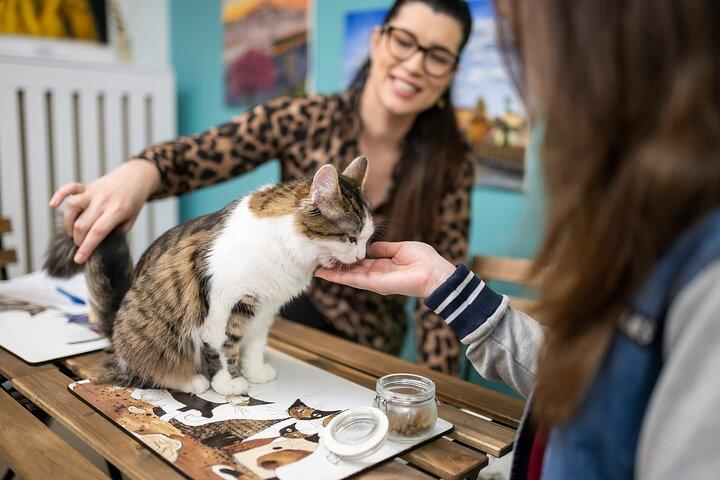 Cat Museum Budapest Entry Ticket
