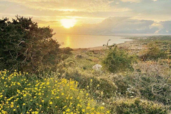 From Larnaca - Cape Greko Highlights Tour (Group of 5 People)