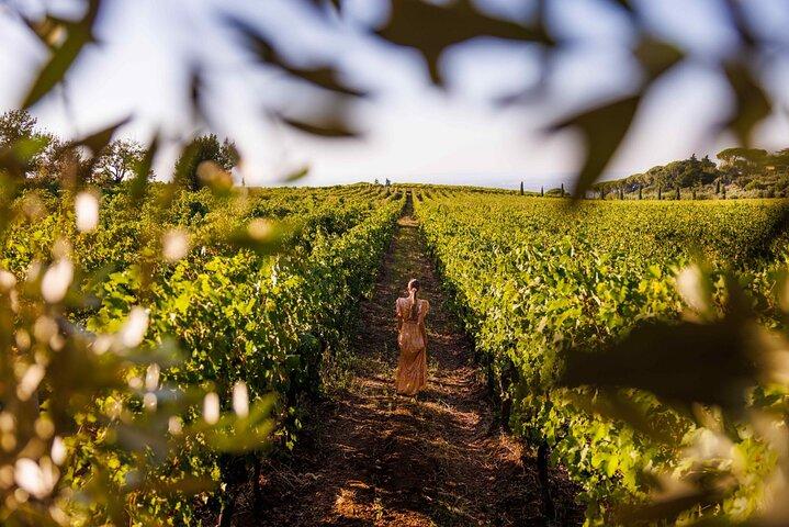 Wine Tasting in Frascati from Rome