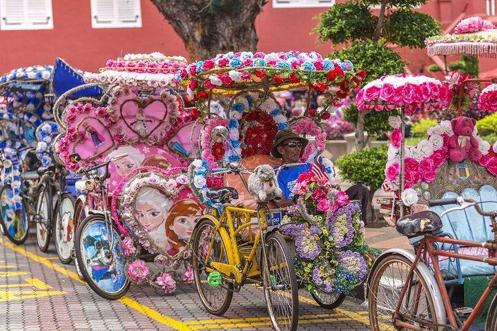 Malacca Historical Private Tour With Personal Chauffeur