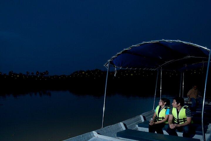 PrivateTour Kuala Selangor Firefly Blinkings & Silver Leaf Monkey
