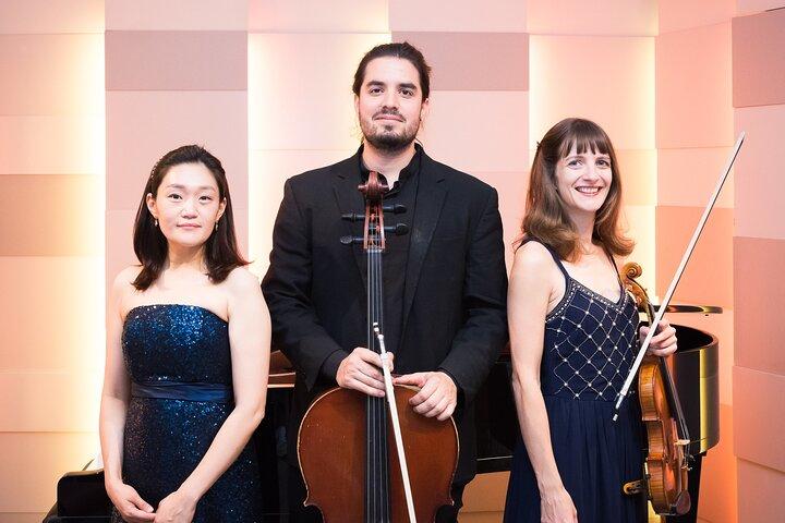 Concerts at the Mozarthaus Vienna