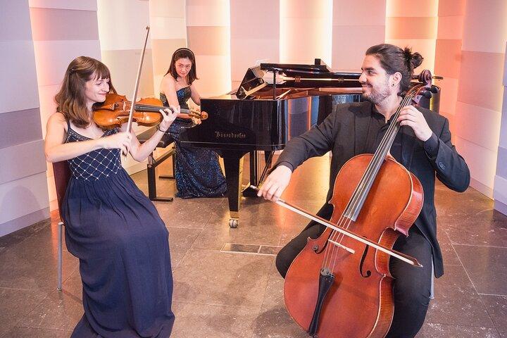 Concerts at the Mozarthaus Vienna