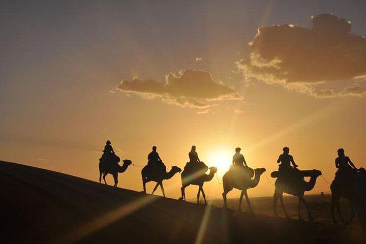 Agafay Desert: Quad Camel Experience and Dinner Show
