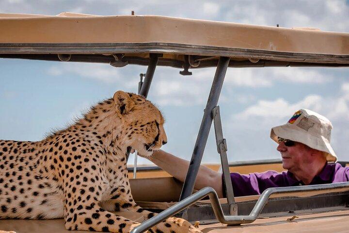 3Days Masai Mara Wildlife Safari on 4WD Jeep