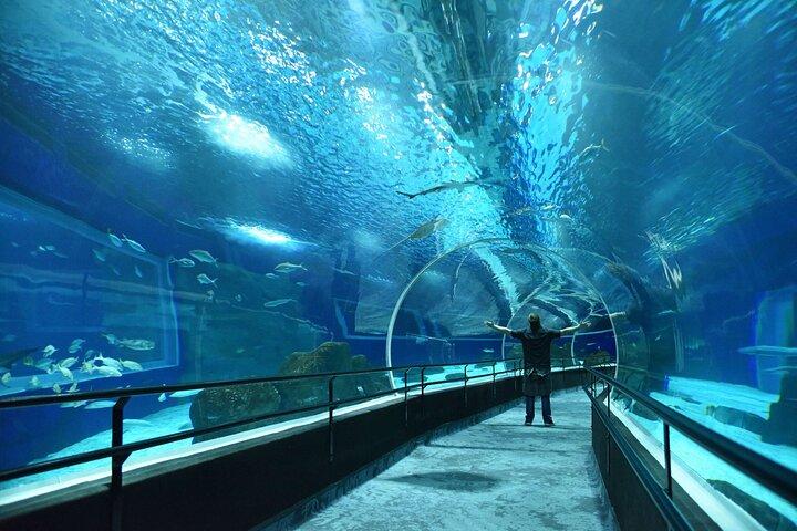 AquaRio Rio de Janeiro Tickets Only