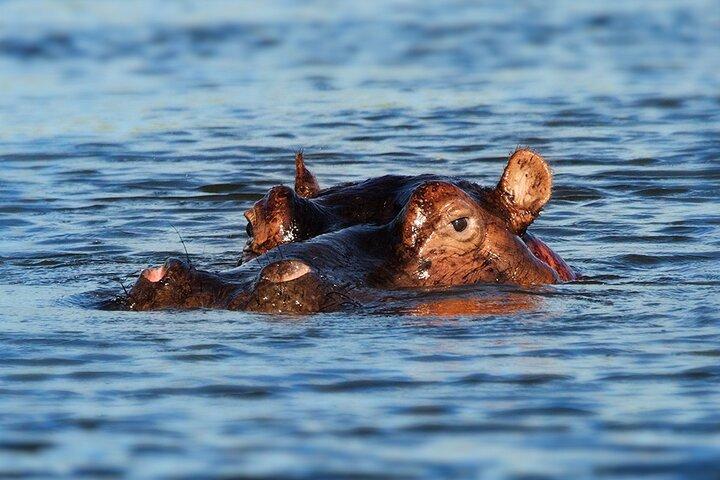 6 Days Luxury Migration Safari-Northern Tanzania